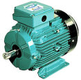 3 Phase Motor