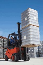 Whitman Forklift